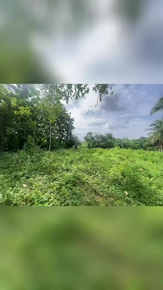 TikTok video thumbnail by chinku0702