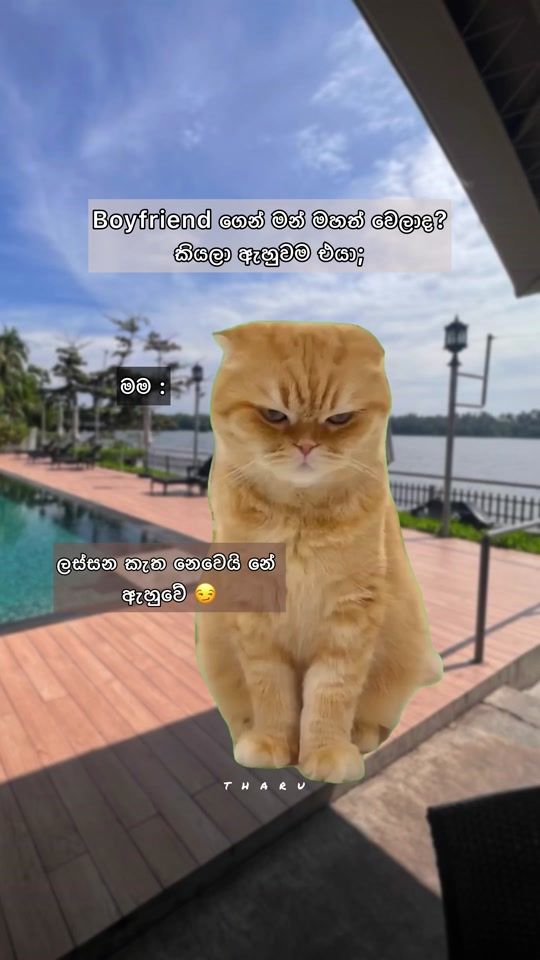TikTok video thumbnail by tharu_hewage0