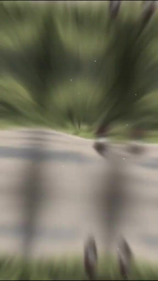 TikTok video thumbnail by minkonchan7