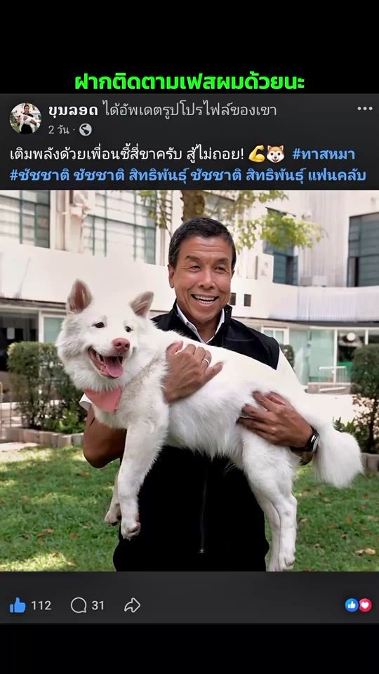 TikTok video thumbnail by fcchatchat