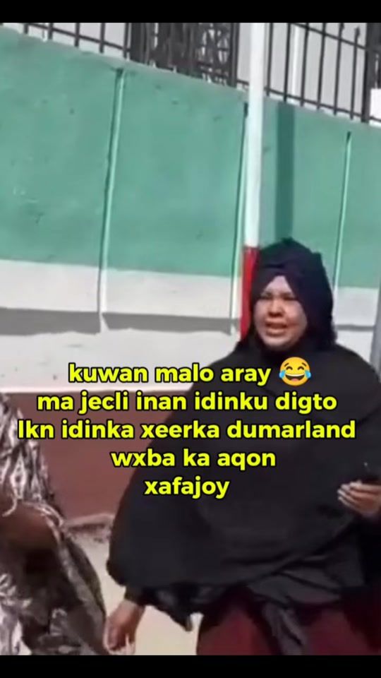 TikTok video thumbnail by mijo.kuley