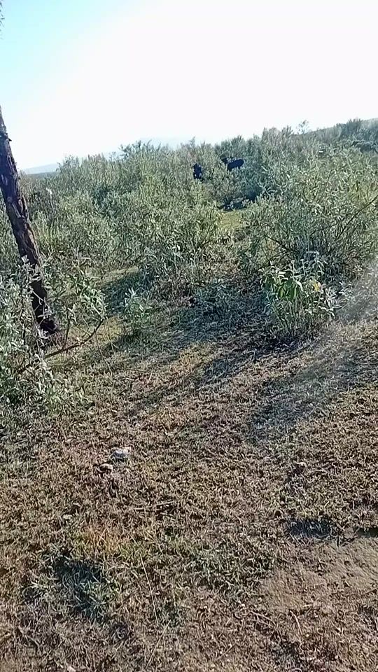 TikTok video thumbnail by brokermutai