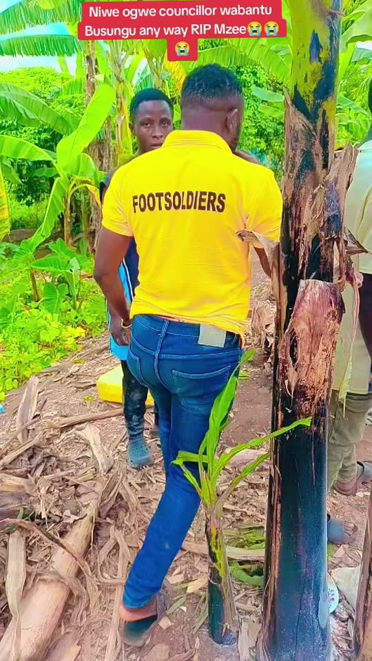 TikTok video thumbnail by apollo.mugabe.bus