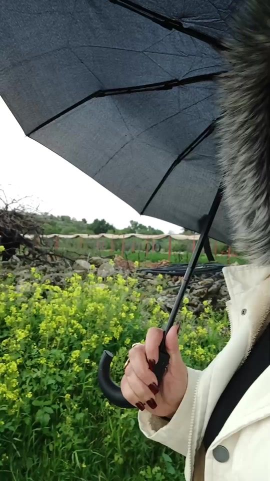 TikTok video thumbnail by neda_m.a5