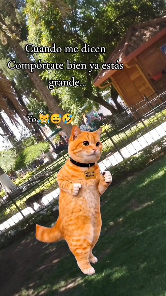 TikTok video thumbnail by 1cintya.2