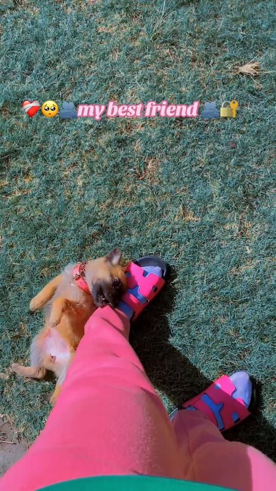 TikTok video thumbnail by emmakaela54