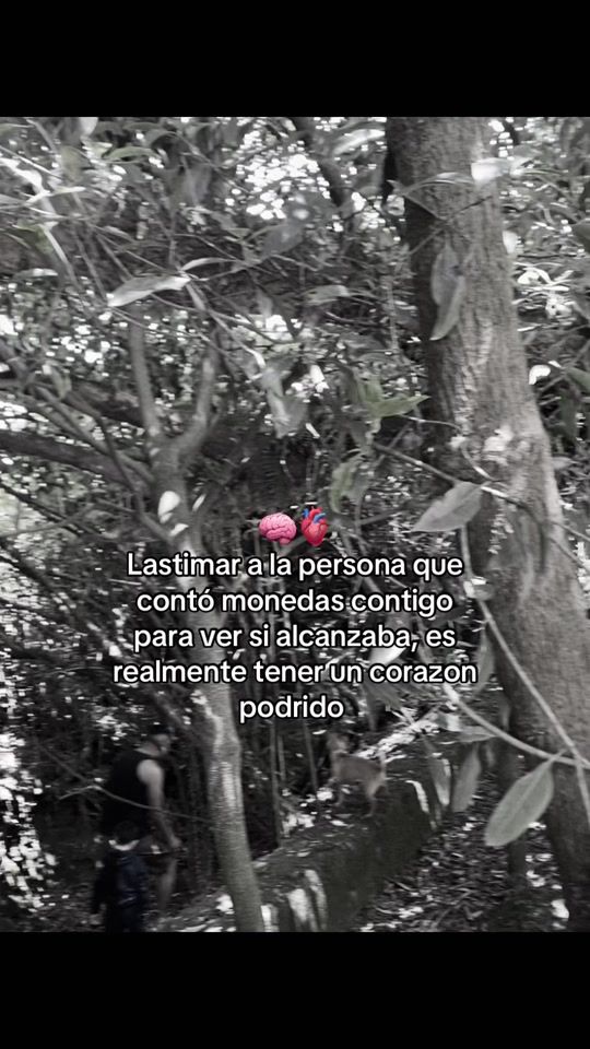 TikTok video thumbnail by silvana_leal6
