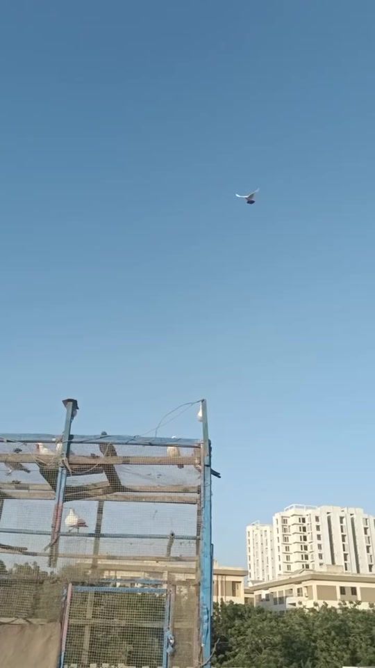 TikTok video thumbnail by mirabdulbaloch