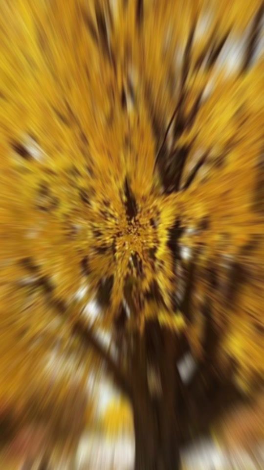 TikTok video thumbnail by shamiel0325
