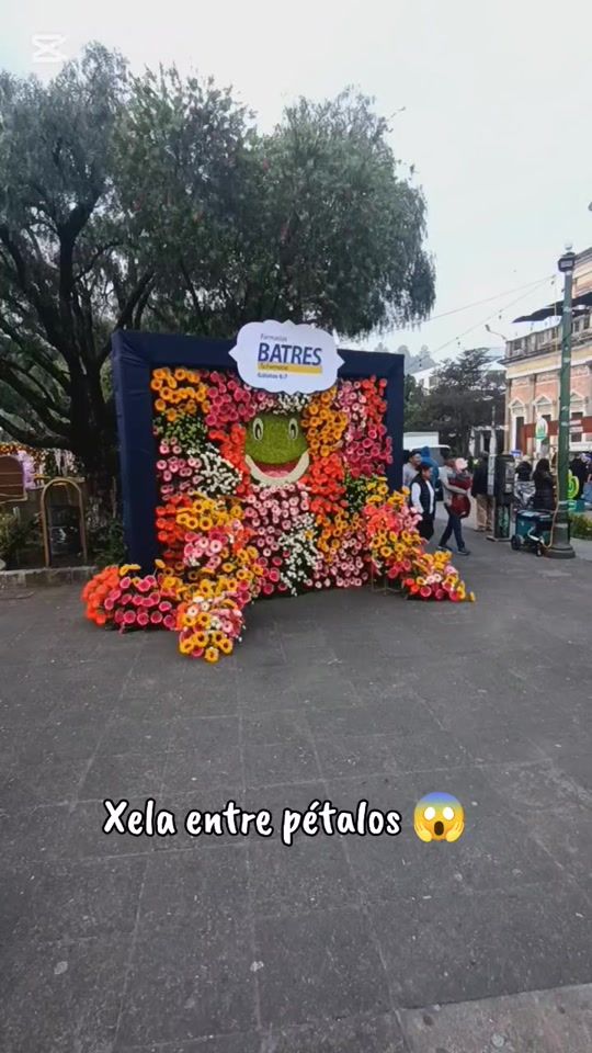 TikTok video thumbnail by xelaleo