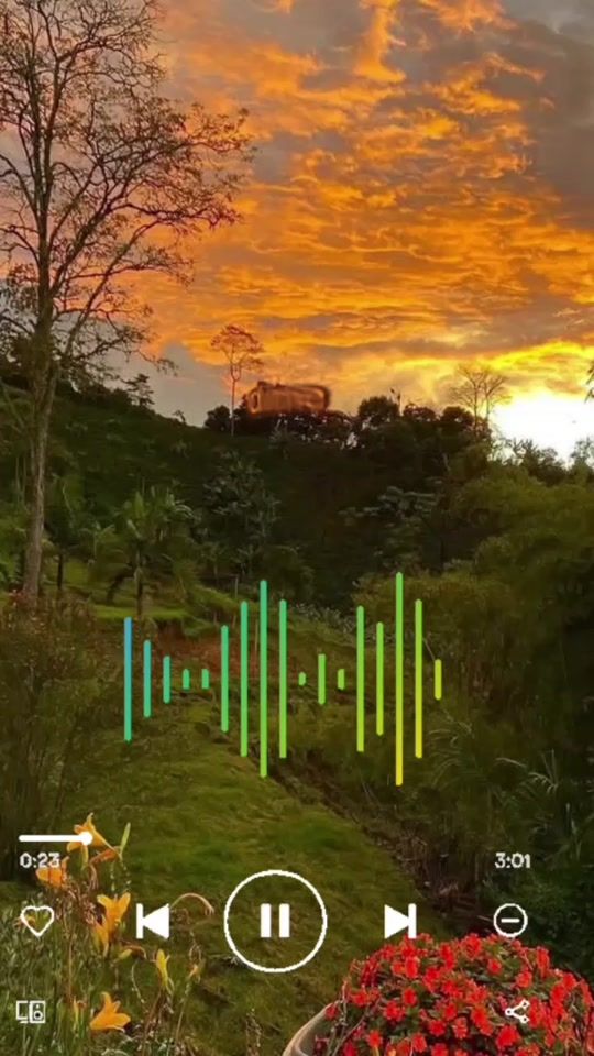 TikTok video thumbnail by griselda.bogado3