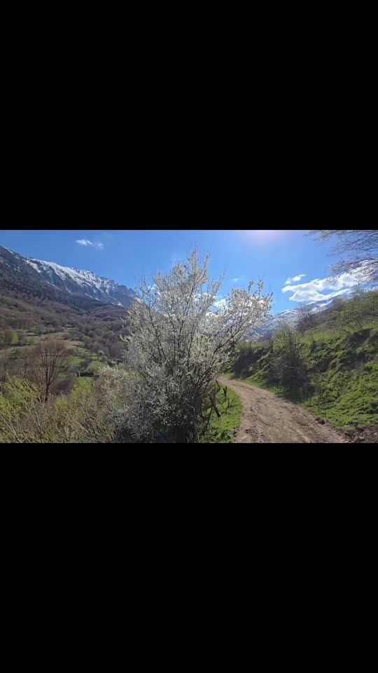 TikTok video thumbnail by bashkimalijaphotography