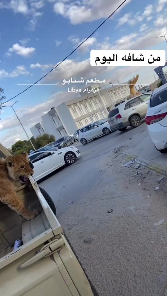 TikTok video thumbnail by muhammad..al.kilani
