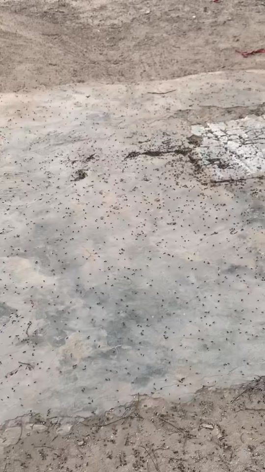 TikTok video thumbnail by juttsaab.050