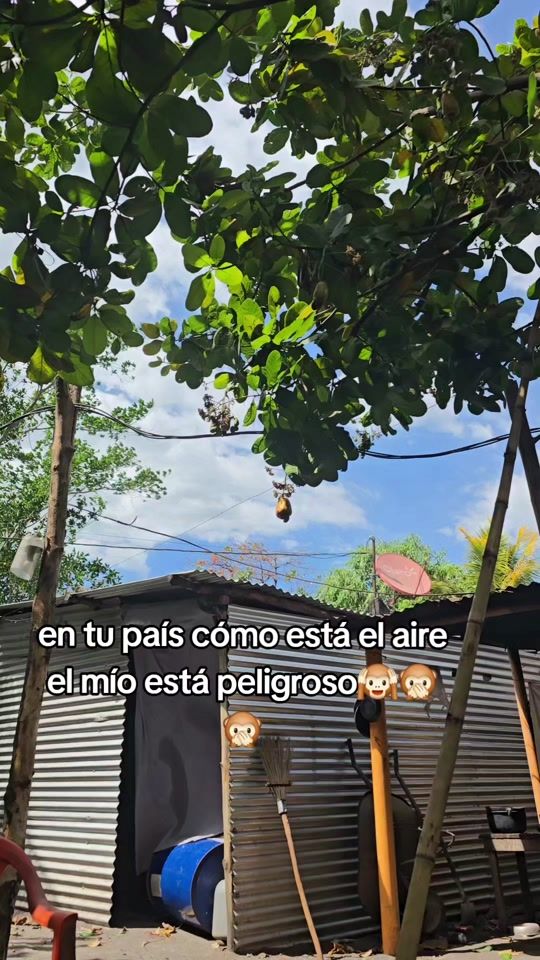 TikTok video thumbnail by dubon.fabiola