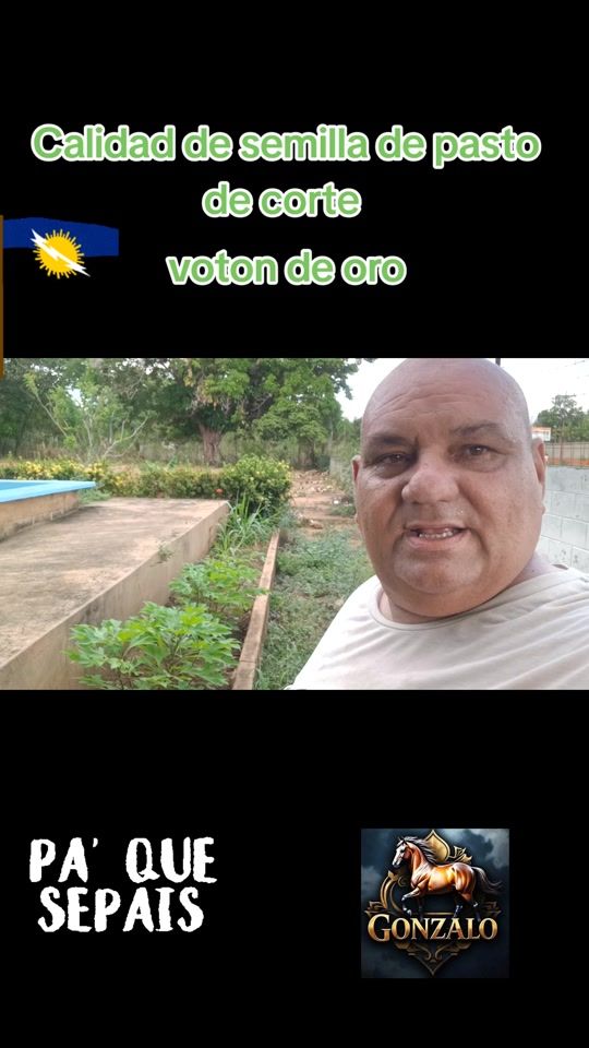 TikTok video thumbnail by gonzalom5