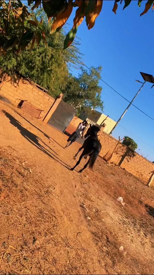 TikTok video thumbnail by idilk113