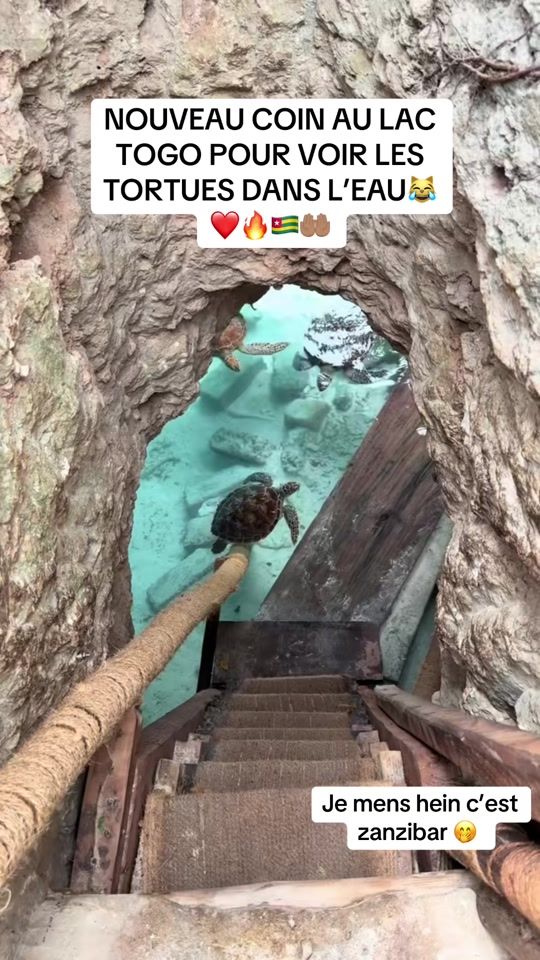 TikTok video thumbnail by lyn_debrief