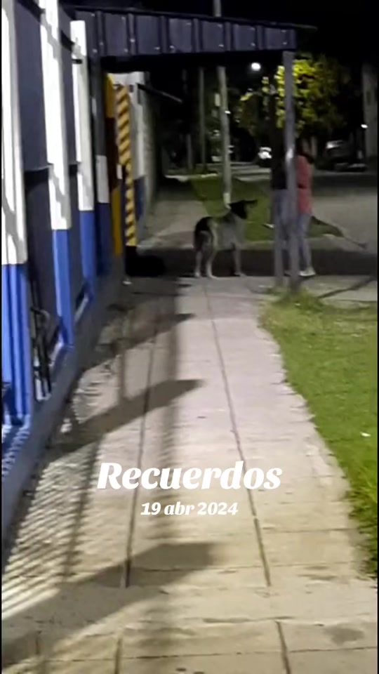 TikTok video thumbnail by colectivera.ok