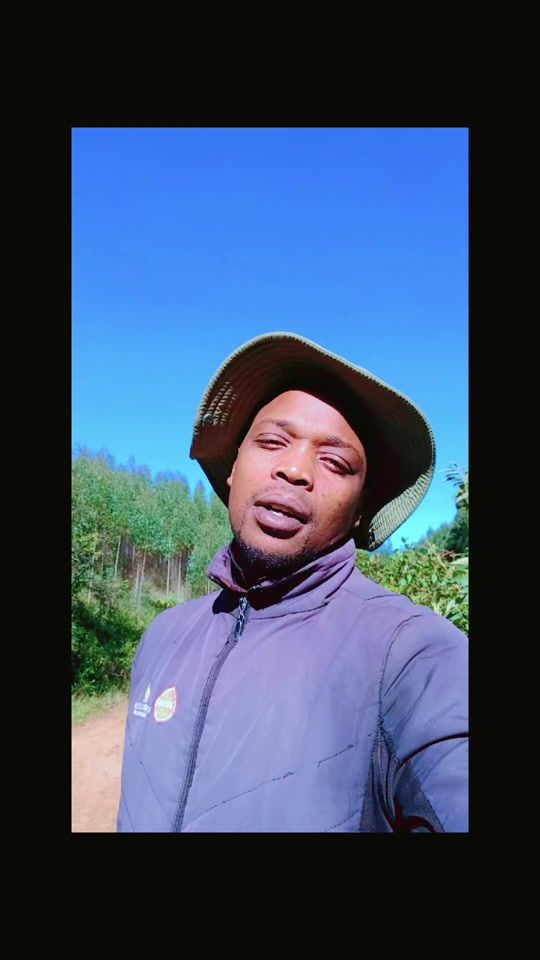 TikTok video thumbnail by jay.khanyile.ngwan