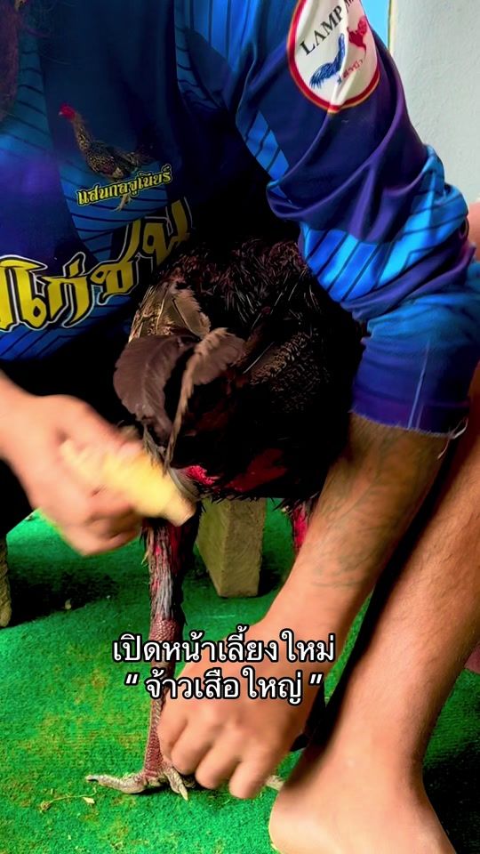 TikTok video thumbnail by papkaichonamnatcharoen33