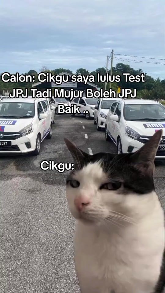 TikTok video thumbnail by mcnadrivingschool