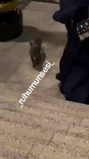TikTok video thumbnail by _ruhumunsesi_