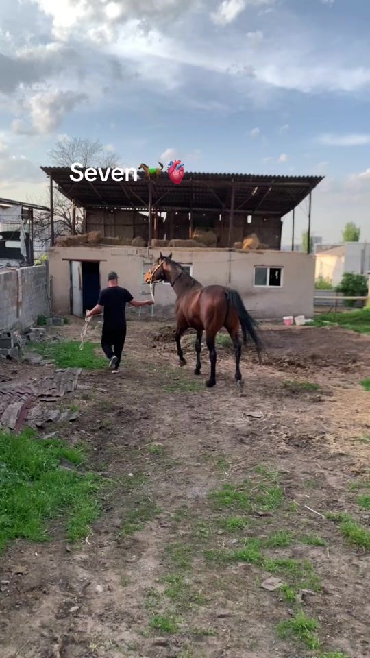 TikTok video thumbnail by tuha0303