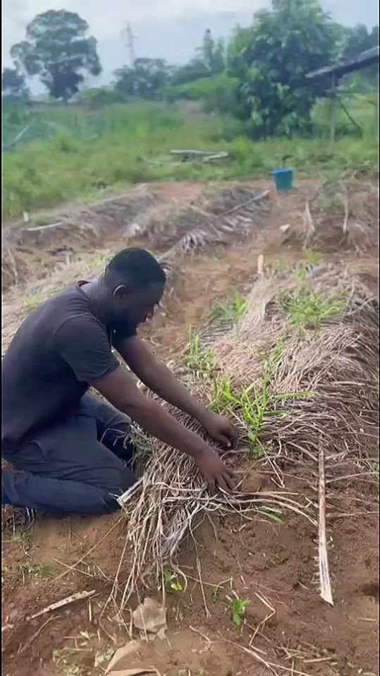 TikTok video thumbnail by proveg0
