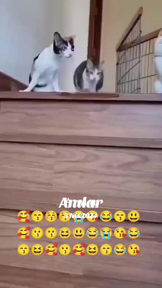 TikTok video thumbnail by kirve7234