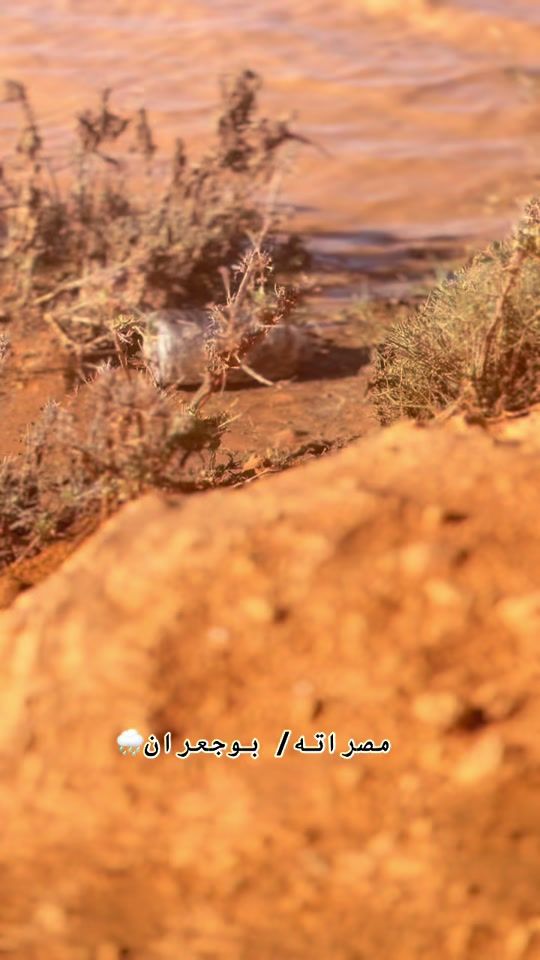 TikTok video thumbnail by ali_91aa91