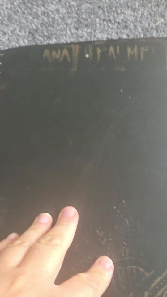 TikTok video thumbnail by eranaandleila