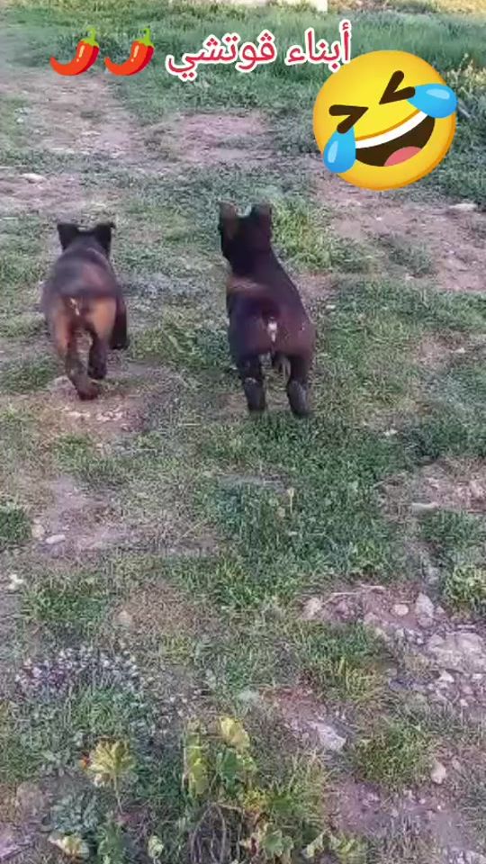 TikTok video thumbnail by mali_noi07