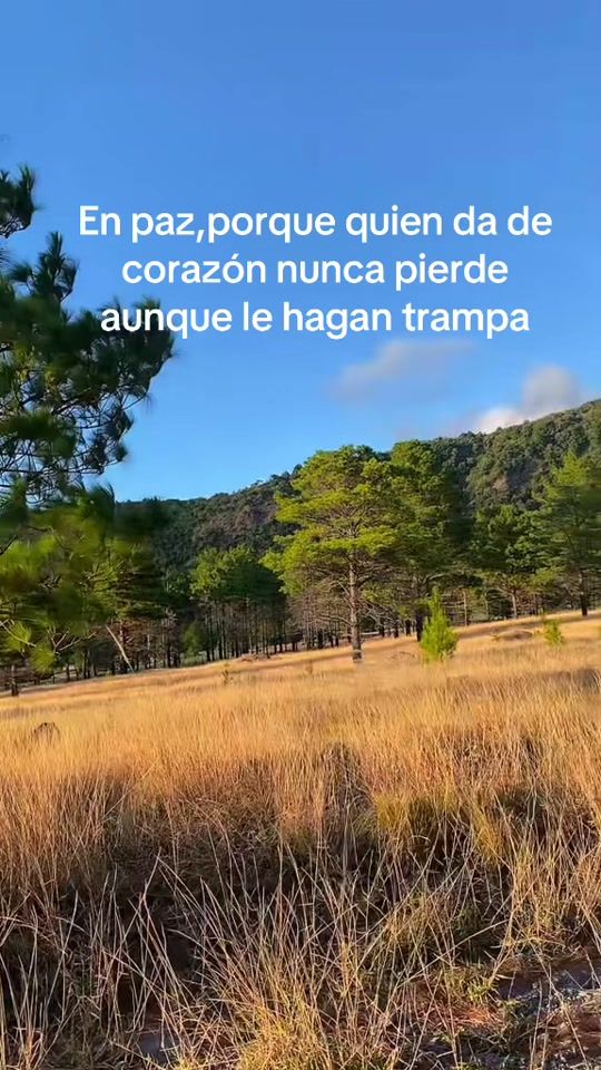 TikTok video thumbnail by hildamiranda1395