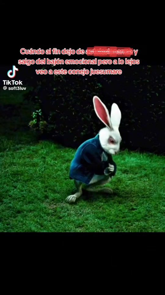 TikTok video thumbnail by luna_lunakem_off