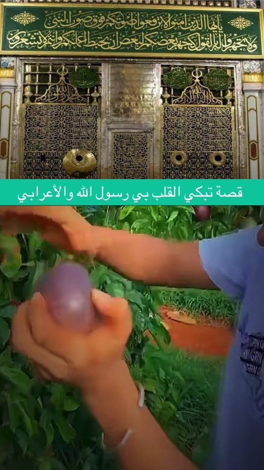 TikTok video thumbnail by dr.mohosny