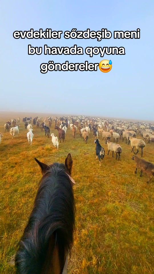 TikTok video thumbnail by aliqarx727