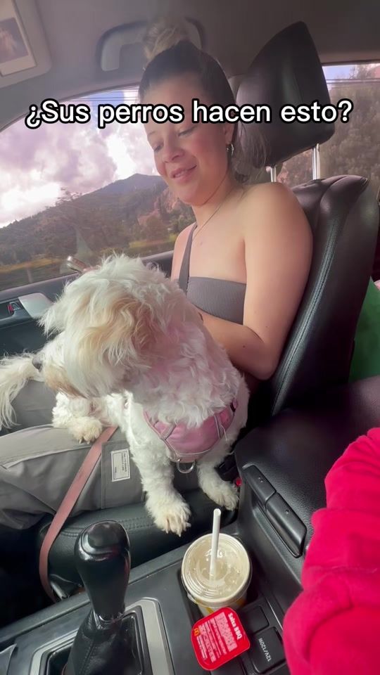 TikTok video thumbnail by saraflorezt