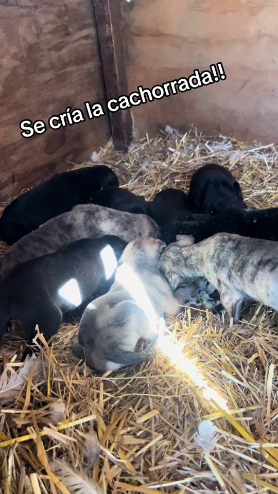 TikTok video thumbnail by martin_saa23