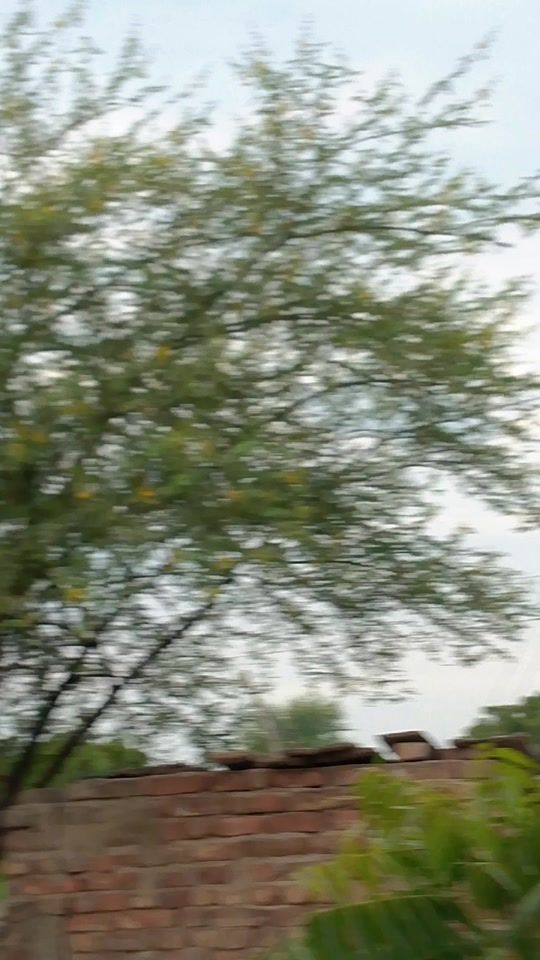 TikTok video thumbnail by poonam.pakistani