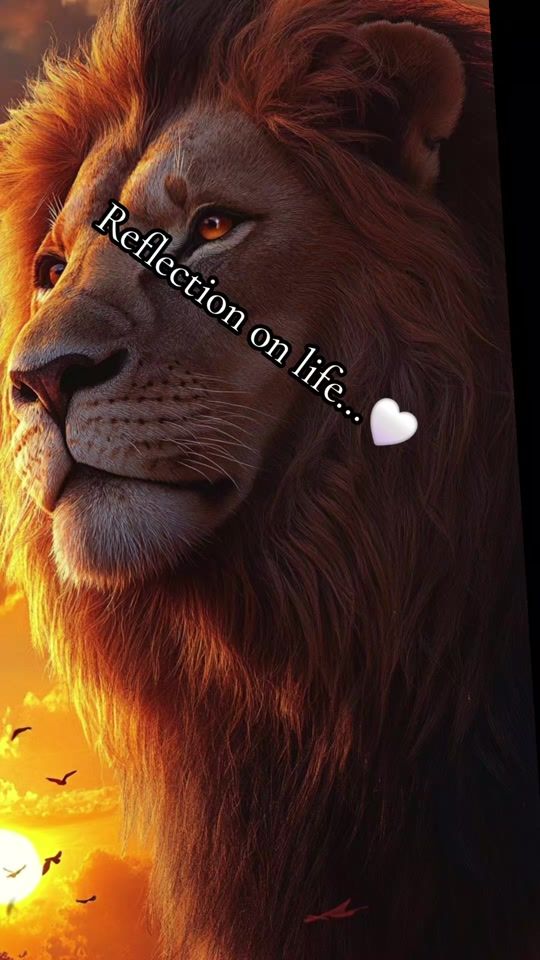 TikTok video thumbnail by 1.woman_of_god