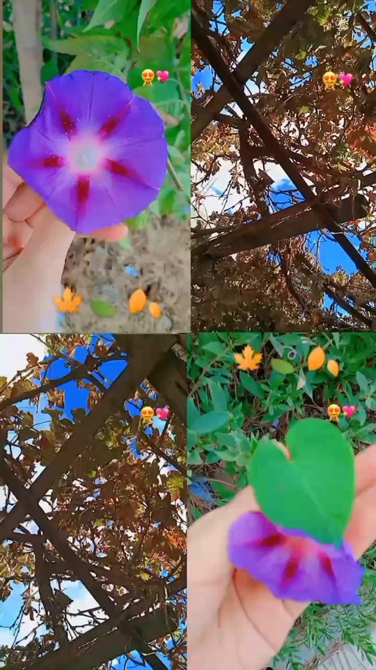 TikTok video thumbnail by salssa.sisa8