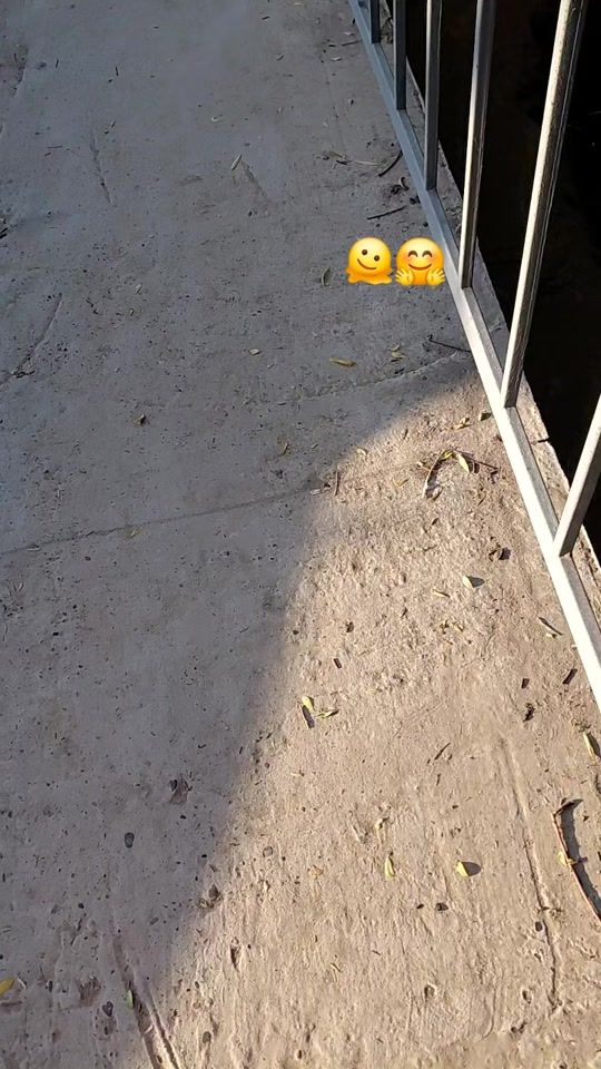 TikTok video thumbnail by .asabbi