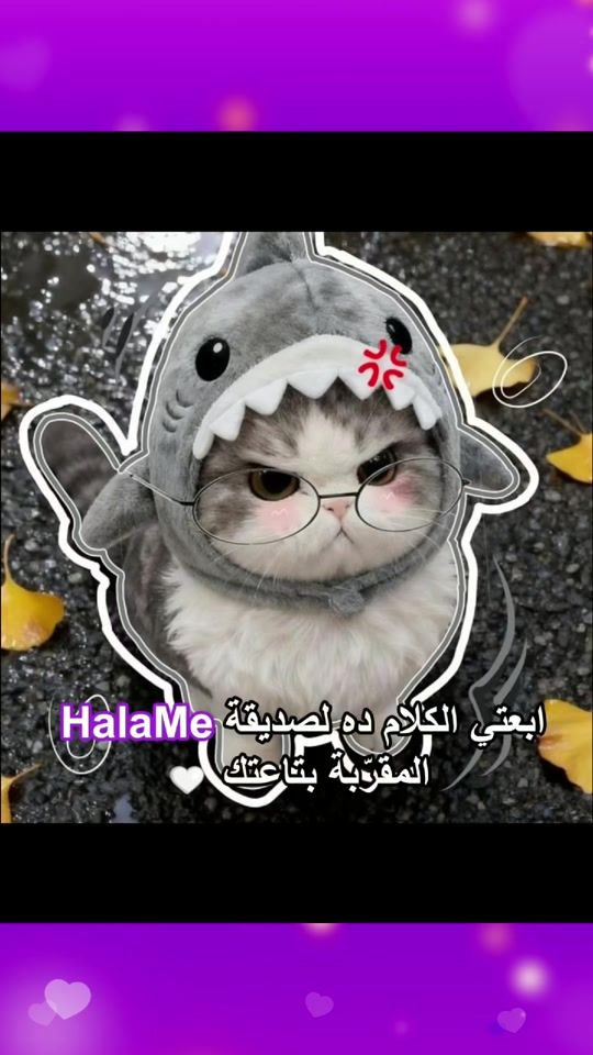 TikTok video thumbnail by halameapp