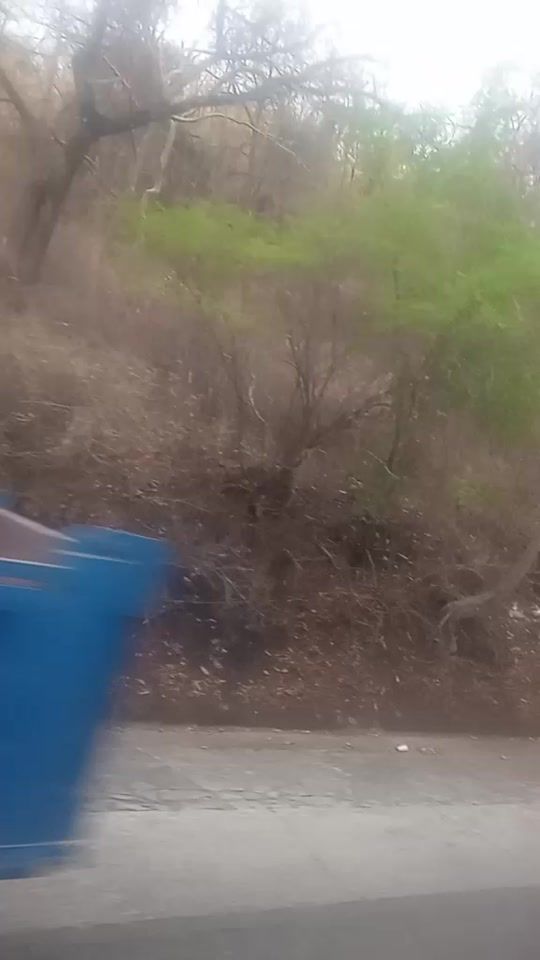 TikTok video thumbnail by elpeblello