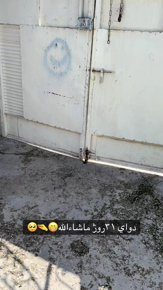 TikTok video thumbnail by karwan__azez