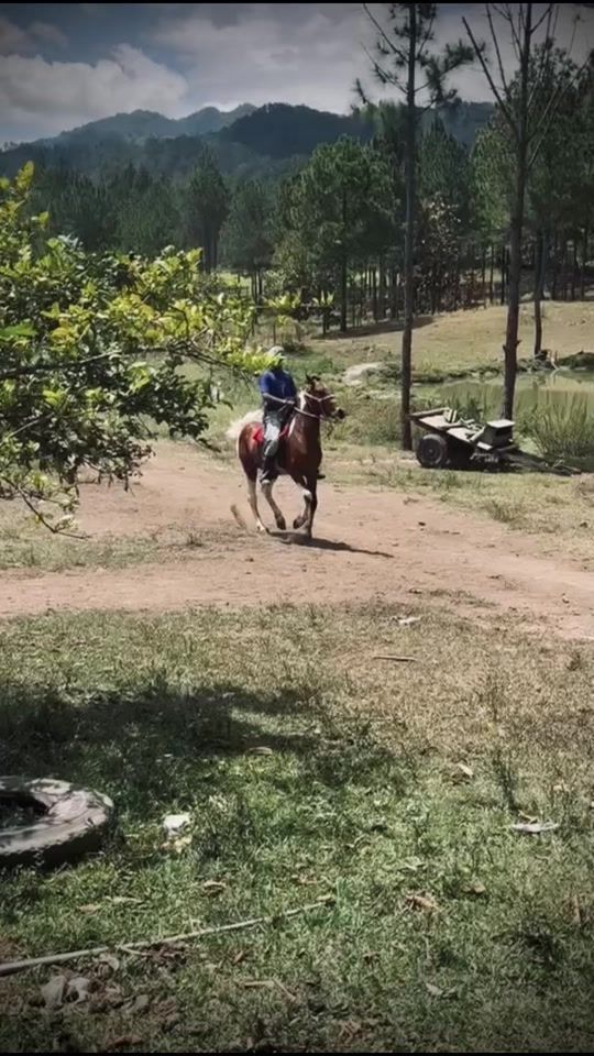 TikTok video thumbnail by el.negro23282