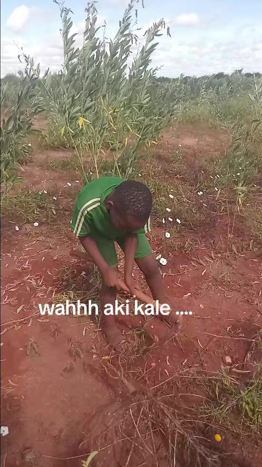 TikTok video thumbnail by hellenkk24