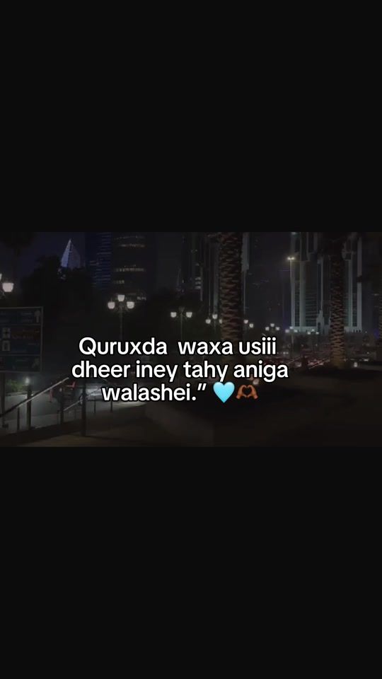 TikTok video thumbnail by _bil4al