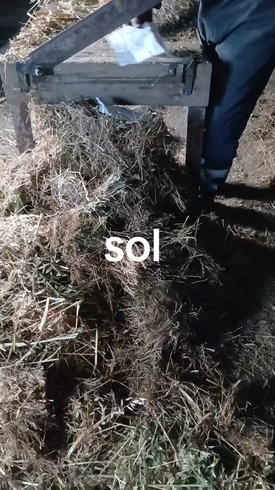 TikTok video thumbnail by elcin056k4